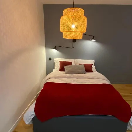 Apartmán Le Charme - Au Coeur D'agen - Self Checkin - Wifi - Netflix - Smart Tv - Luqs Fr Agen