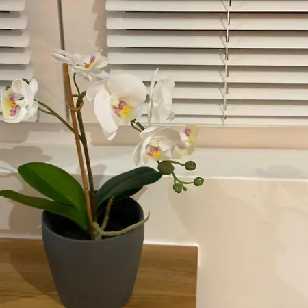 Le Charme - Au Coeur D'agen - Self Checkin - Wifi - Netflix - Smart Tv - Luqs Fr Apartmán Agen